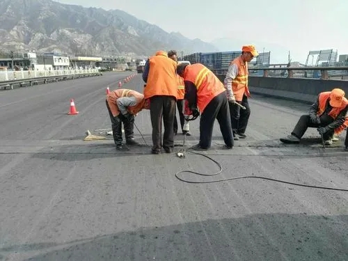 渝水道路桥梁病害治理